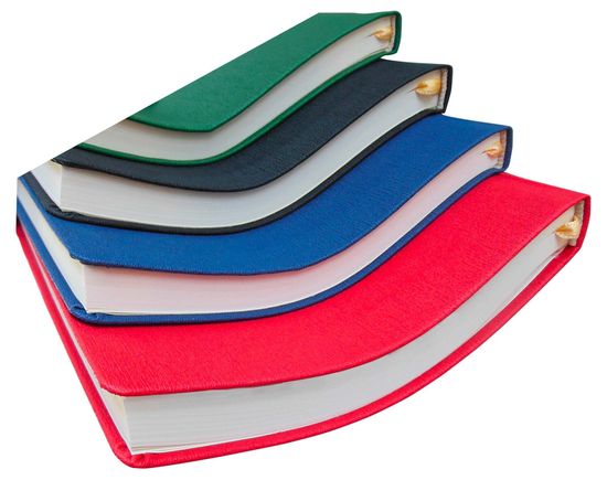 Ежедневник Caribe