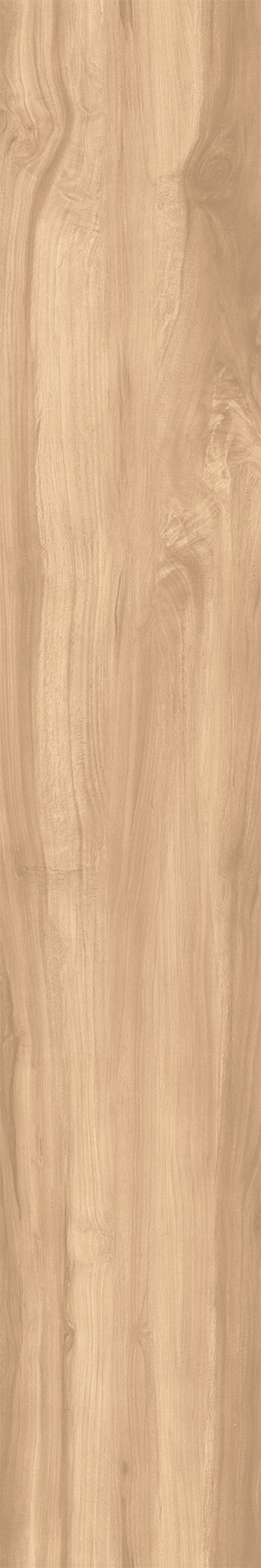 Керамогранит, Creanza, FOSSIL WOOD BRICH, 1200x200 мм, матовая