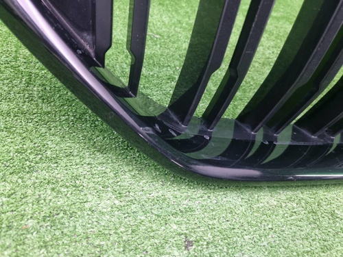 Решетка радиатора BMW X6M F96 (2019-2023)