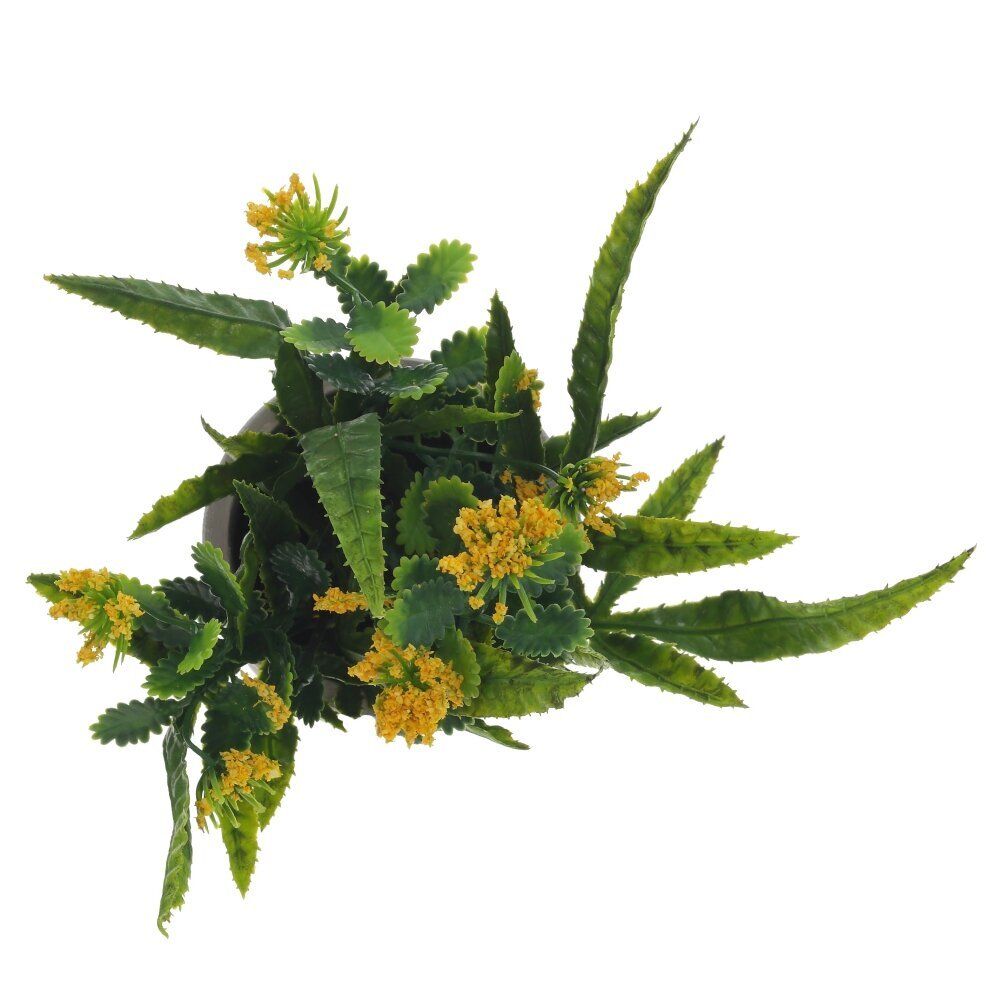 GAEM Цветочная композиция, L10 W10 H20 см, 3в.