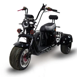 Электроскутер SKYBOARD CITYCOCO MyRussia BR60 3000W с корзиной