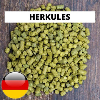Хмель "Herkules" (Германия) 2023г, 14.1%, 50г