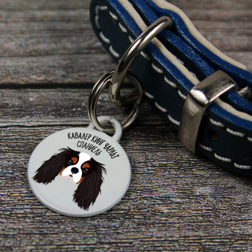 Адресник КАВАЛЕР КИНГ ЧАРЛЬЗ СПАНИЕЛЬ