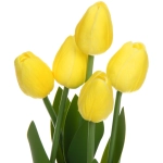 Цветочная композиция «Весенняя рапсодия» 10*26см Тюльпаны желтые