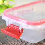 Контейнер 0,5л герметичный "Butterfly bright" (красный)