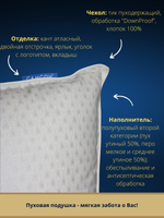 Подушка Самсон пухоперовая 50% пух, 50% перо, чехол тик 50*70