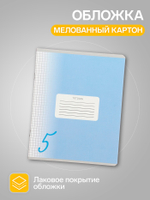 Тетради 10 штук, 24 листа в клетку Calligrata «Пятёрка»