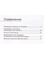 №49 Миноносцы типа "Циклон"