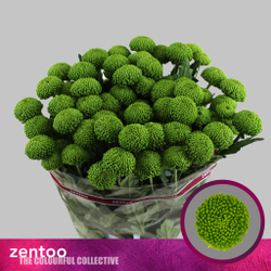 Deligreen (NL)