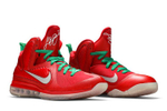 Кроссовки Nike Lebron 9 Christmas