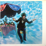 Joe Walsh / But Seriously, Folks... (LP)