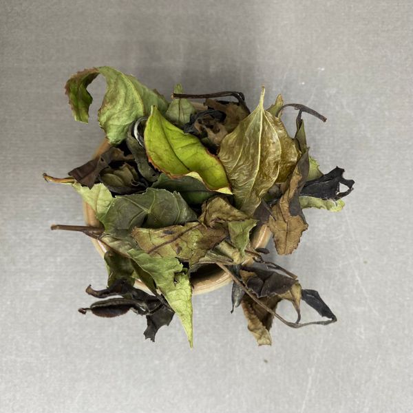 Тетри Ивниси