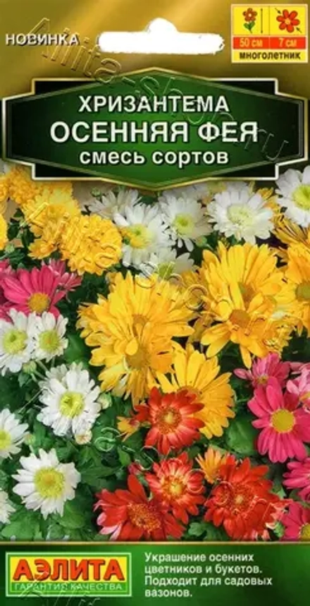 Хризантема Осенняя фея 0,02г Ц Аэлита