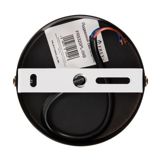 Подвесной светильник Freya FR5320PL-04B