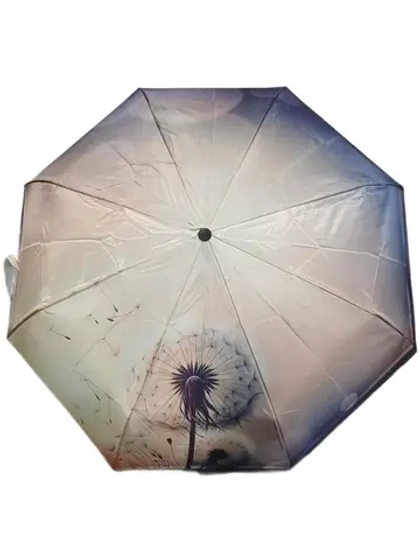 Зонт DINIYA 267