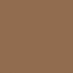 Прогулочная коляска Carrello Bravo Carbon CRL-5530 Ginger Beige