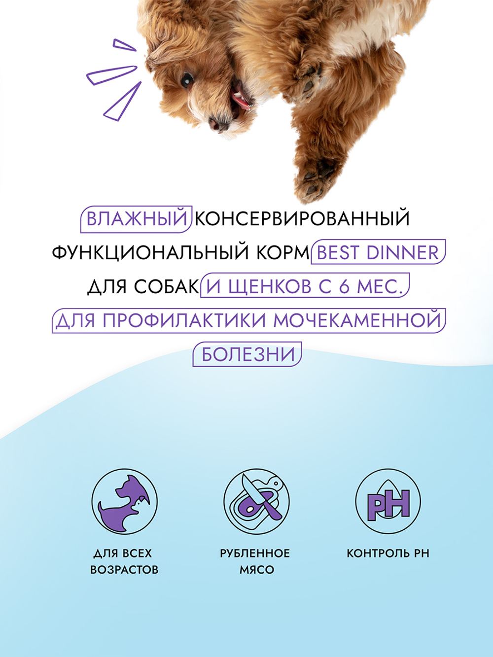 Best Dinner Эксклюзив Vet Profi для собак - Консервы  Urinary "Индейка с картофелем" Exclusive VET PROFI - 0,1 кг