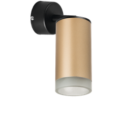 Встраиваемый спот Lightstar Rullo RB44030 (214440+590007+202430)