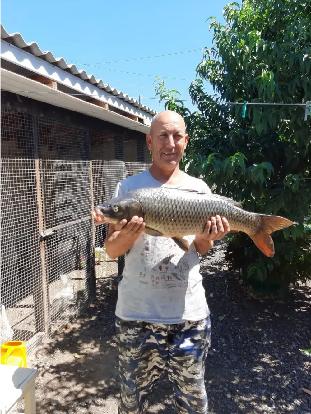 Леска монофильная "Beluga"