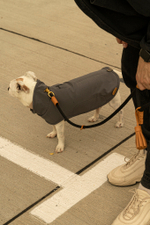 Попона "Пони-попони" темно-серая