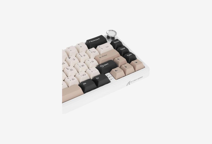 AS X66 Cheese_0426709105715