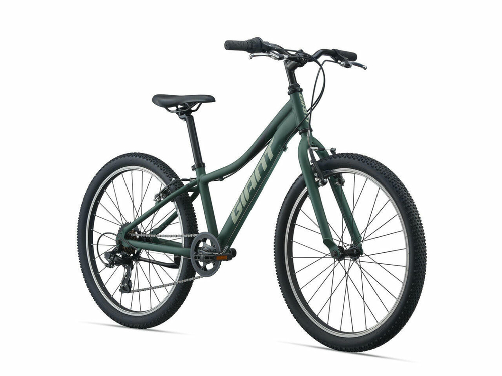 Подростковый велосипед Giant XTC Jr 24 Lite (2021)