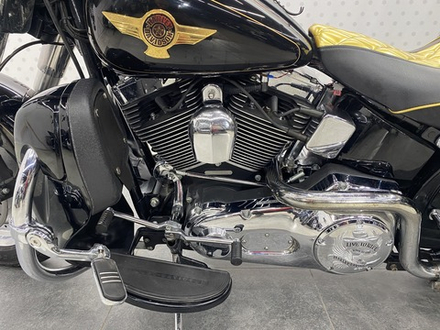 Harley-Davidson Fatboy FLSTF1540 2005