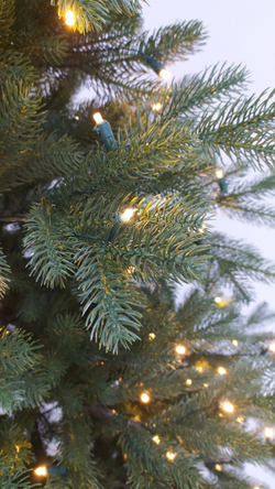 Ель Швейцарская 100% литая 185см 220 ламп зеленая Black Box