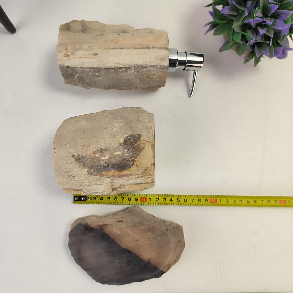 Набор из окаменелого дерева 4 предм Fossil Set NF-62871 поднос 29см*36см
