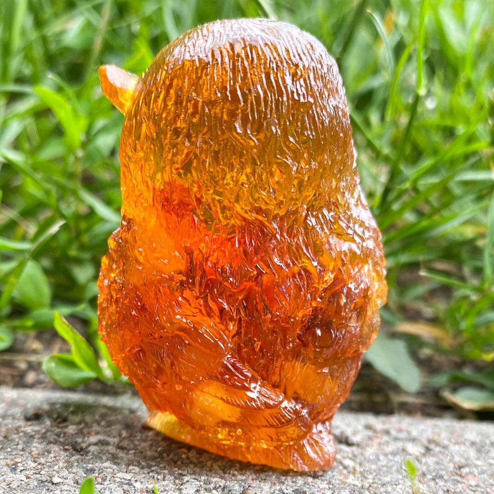 Сова подсматривает
