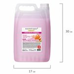 Мыло-крем жидкое, 5 л, ЗОЛОТОЙ ИДЕАЛ "Фруктовая карамель", 607489