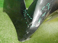 DSCN9994.jpg