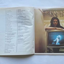 Винтажная виниловая пластинка LP Jim Morrison Music By The Doors An American Prayer (США 1978)