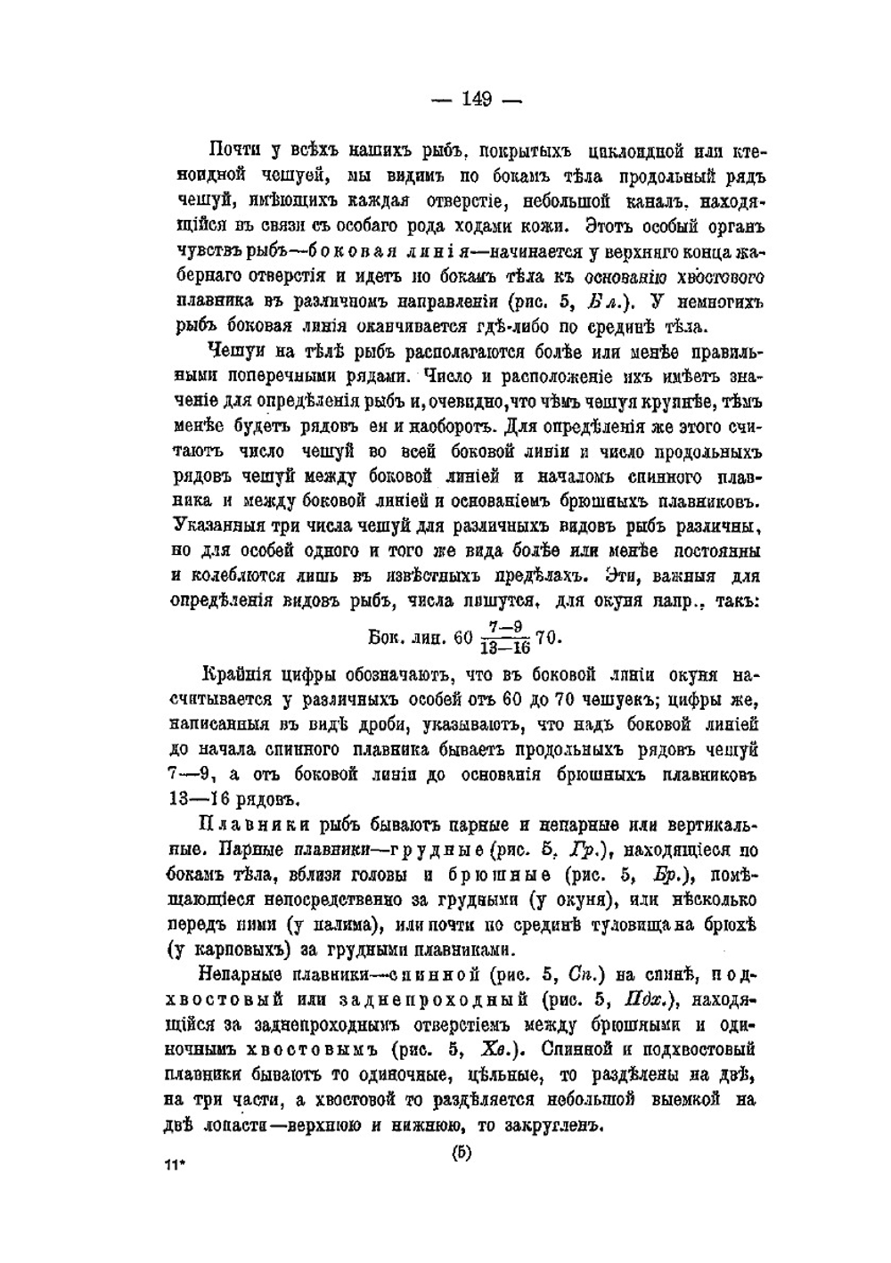 Рыболовство в Бассейне реки Оби. Часть 2 | Н. А. Варпаховский