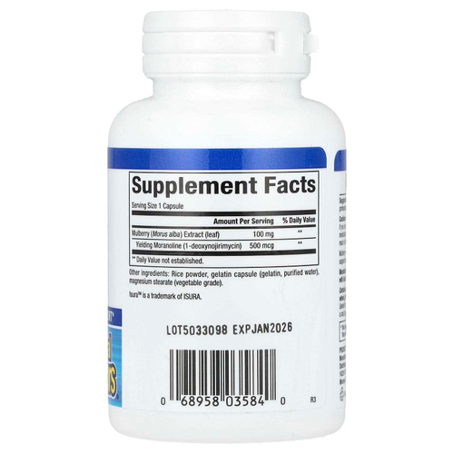 Natural Factors, WellBetX, экстракт шелковицы, 100 мг, 90 капсул