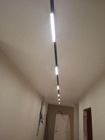 Трековый свет