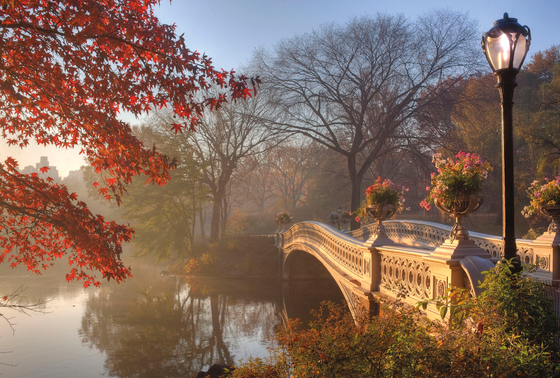 Коллекция Мосты