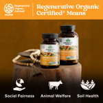 Organic India, ашваганда, 90 вегетарианских капсул (400 мг в 1 капсуле)