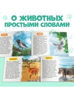 Книги для малышей Развивашки