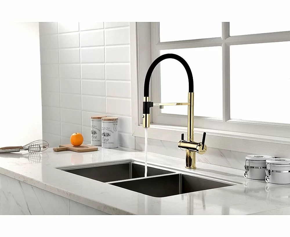 Смеситель для кухни Paulmark Gravity Gr213888-G золото