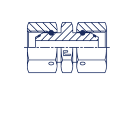 Соединение PSN BSP 1/2 - BSP 1/2