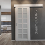 Дверь-купе WALES