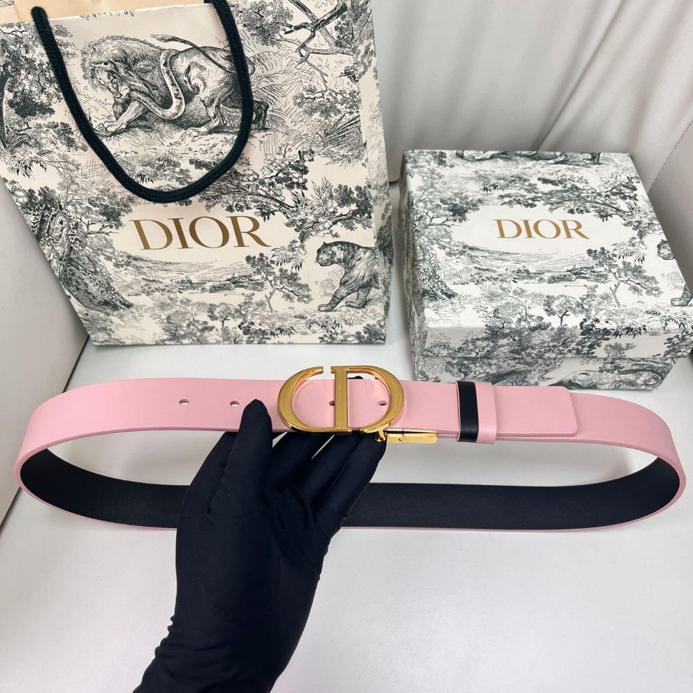 Christian Dior Reversible Belt