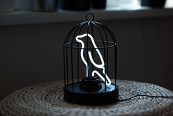 Светильник неоновый bird in a cage