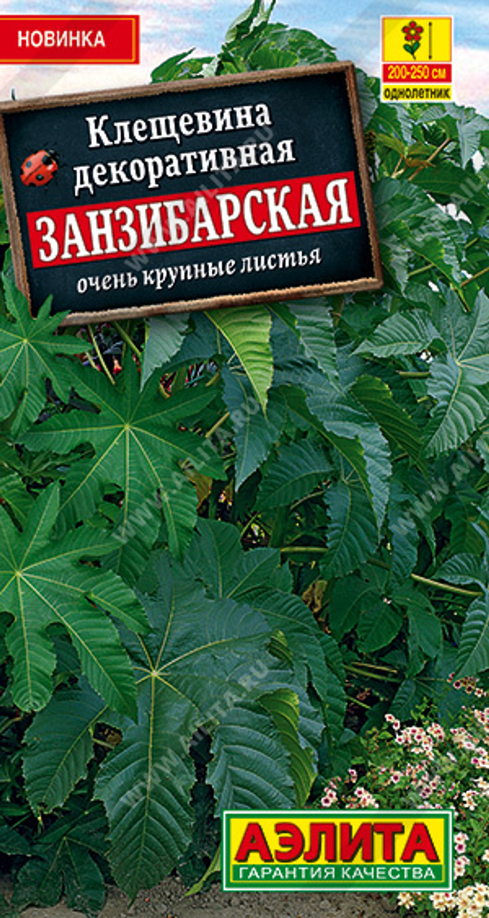 Семена Клещевина Занзибарская