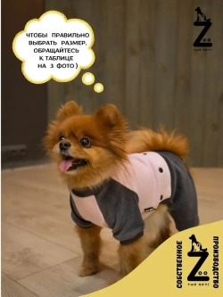 Комбинезон костюм для собак и кошек