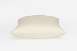 Наволочки 2шт 70х70 German Grass Golden Palette золотистые