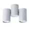 Спот Arte Lamp GAVROCHE A1511PL-2GY