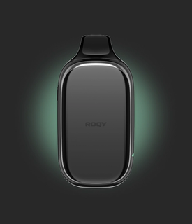 Купить Одноразовый Pod Roqy L - Мята (20000 затяжек)