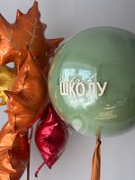 Воздушные шары Снова в школу №8746